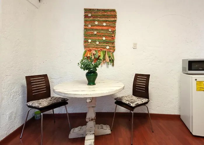 Suite 2B, Vista, Garden House, Welcome To San Angel