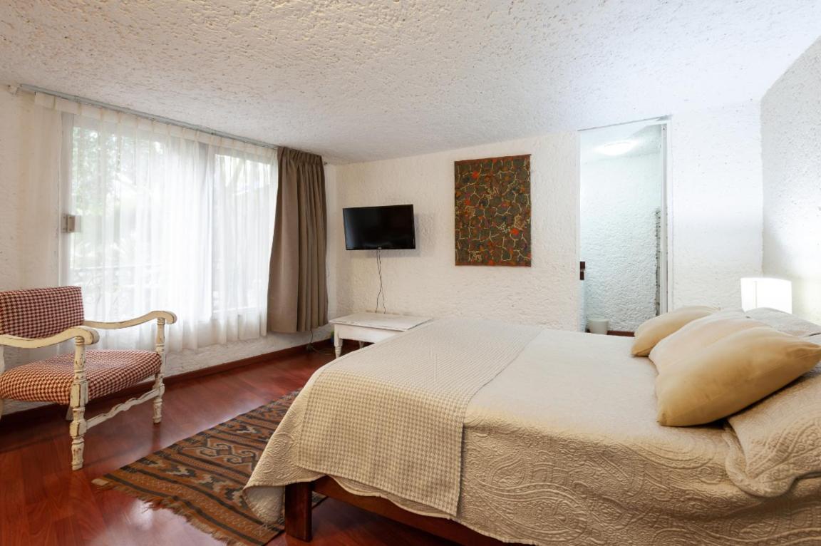 2b, Vista, Garden House, Welcome To San Angel *
