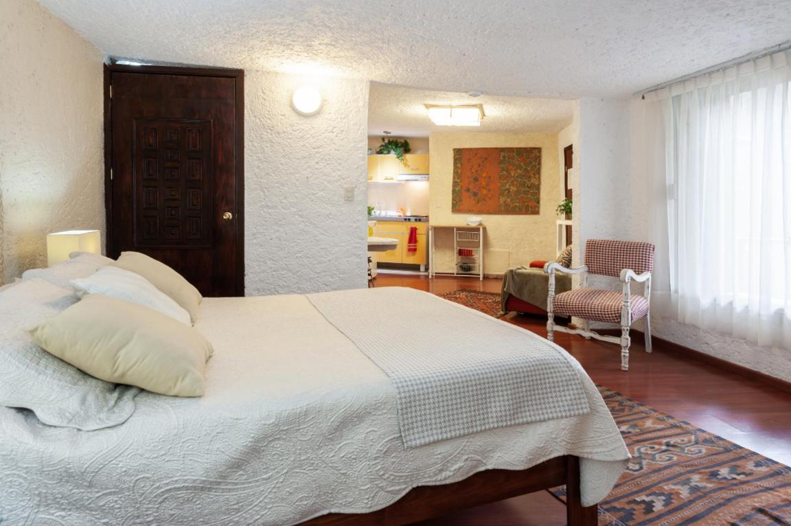 2b, Vista, Garden House, Welcome To San Angel Appartamento *