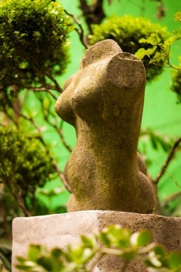 2b, Vista, Garden House, Welcome To San Angel Appartamento *