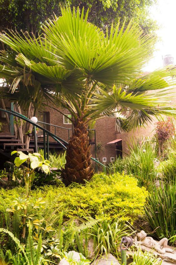 Appartamento 2b, Vista, Garden House, Welcome To San Angel