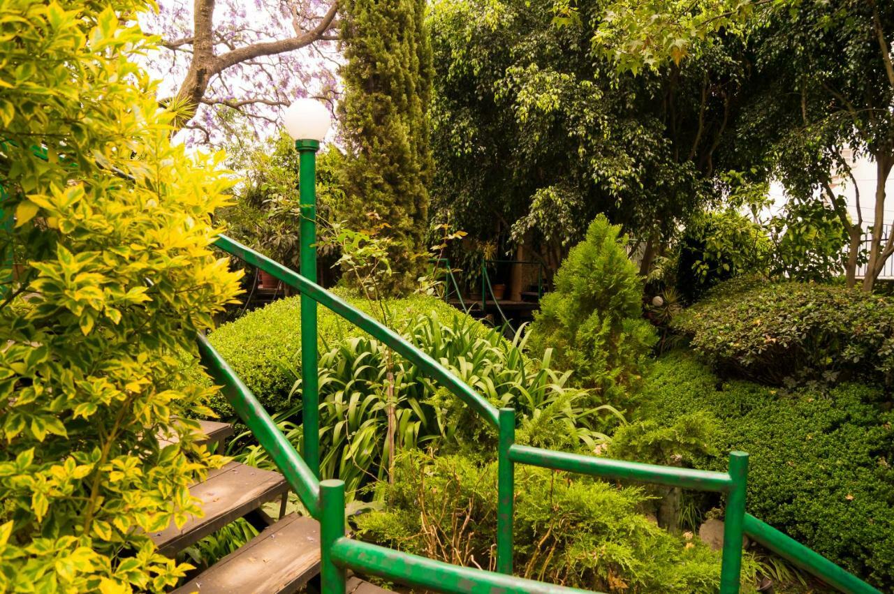 2b, Vista, Garden House, Welcome To San Angel Appartamento