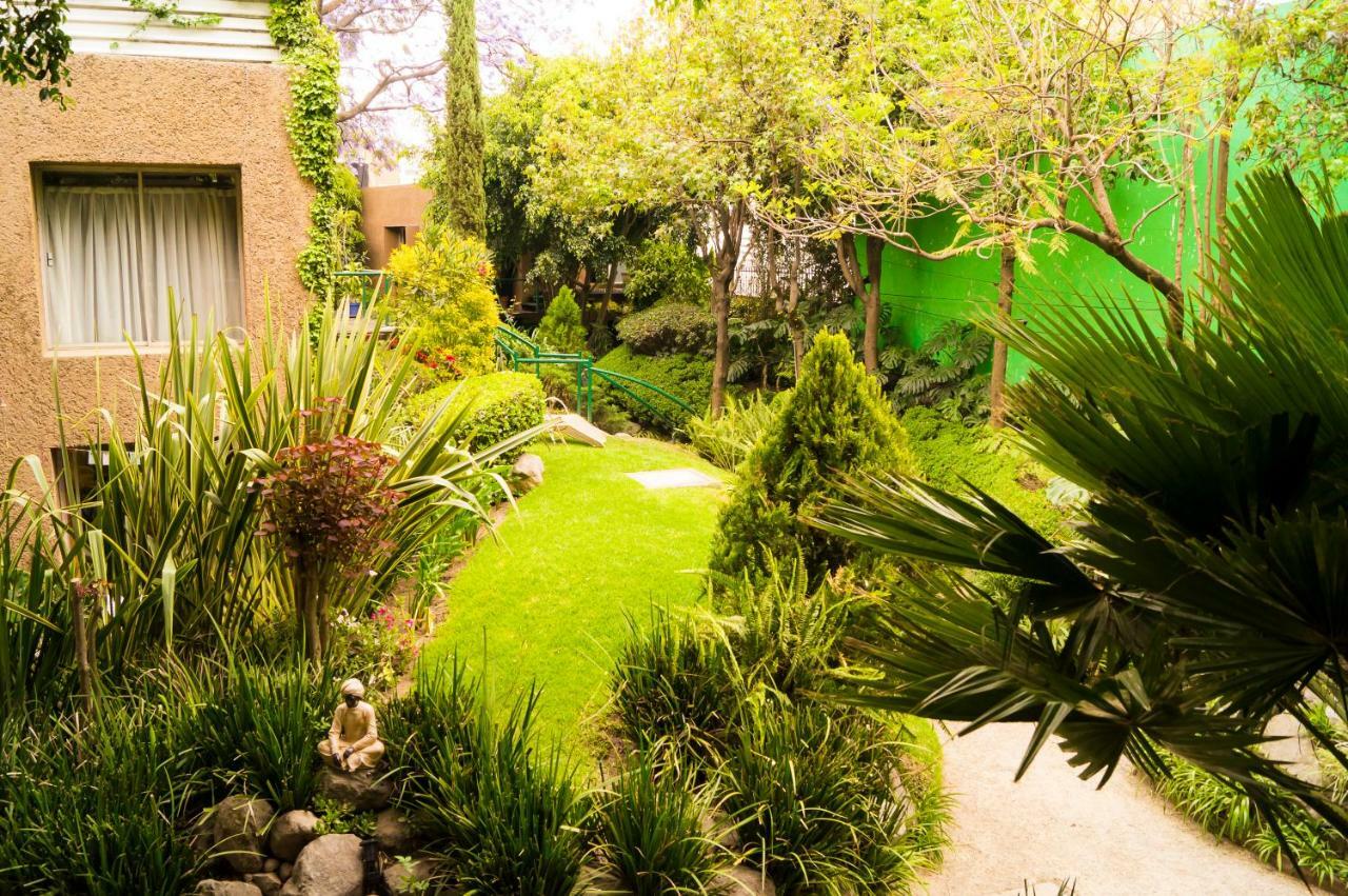 2b, Vista, Garden House, Welcome To San Angel Città del Messico