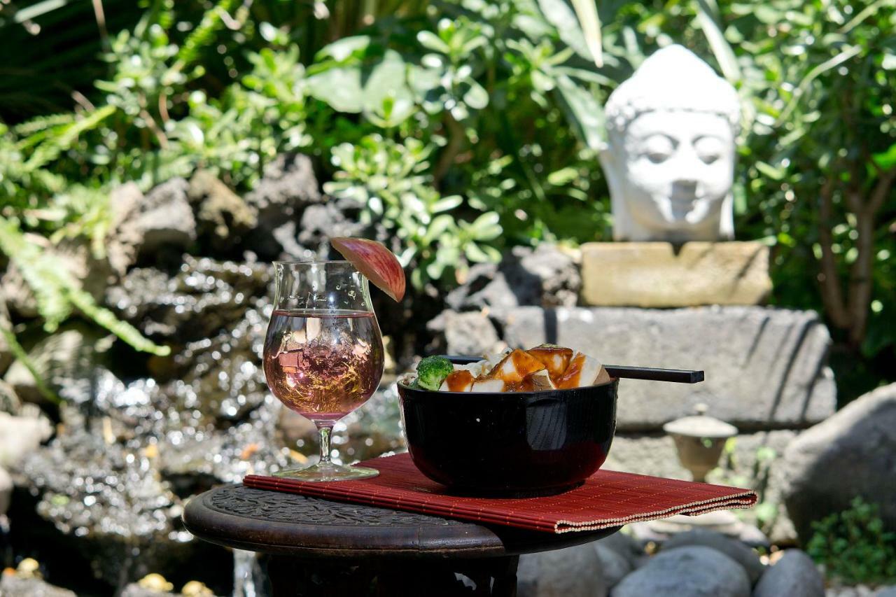2b, Vista, Garden House, Welcome To San Angel Appartement Mexico