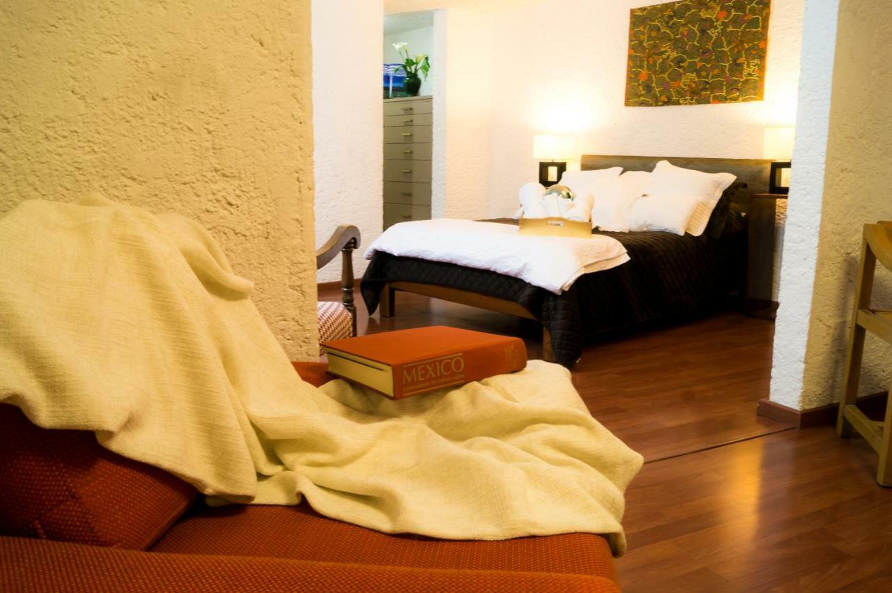 2b, Vista, Garden House, Welcome To San Angel Mexico