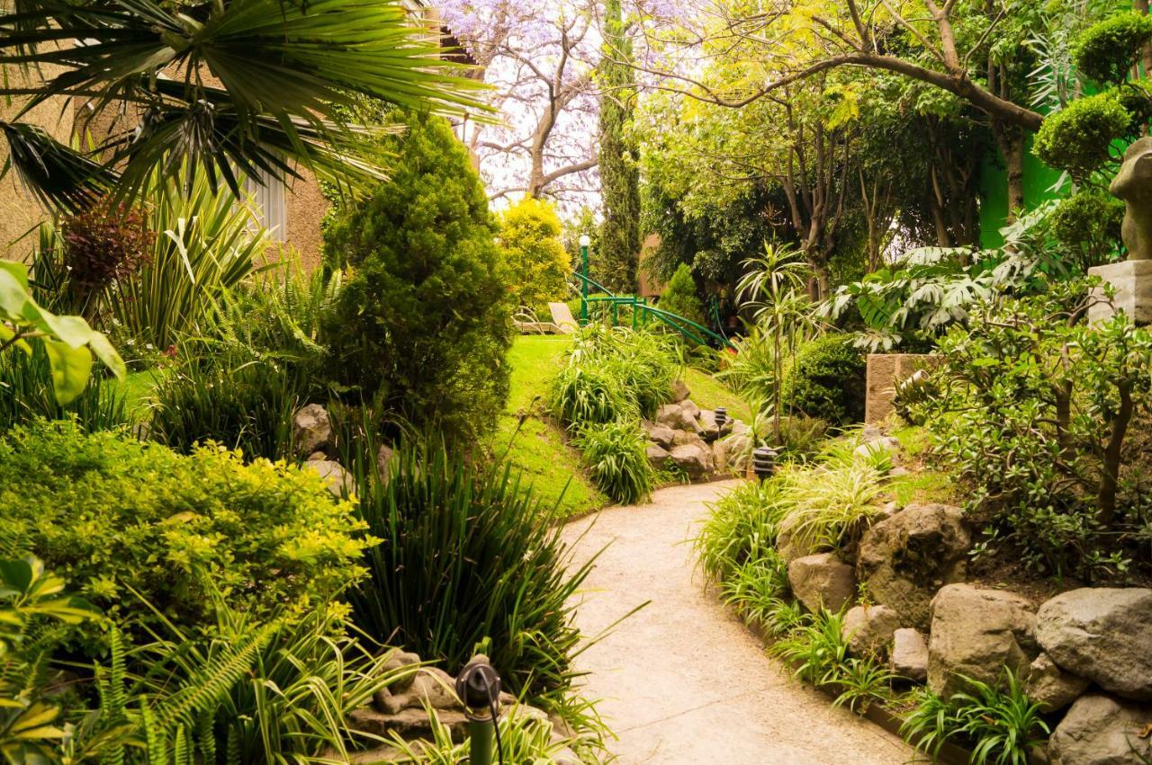 Appartement 2b, Vista, Garden House, Welcome To San Angel Mexico