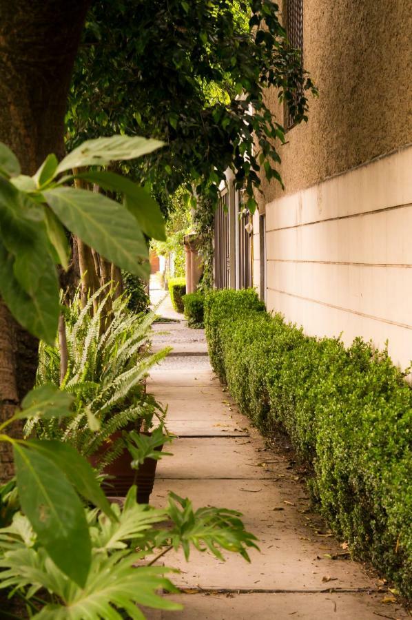 Appartement 2b, Vista, Garden House, Welcome To San Angel Mexico